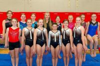 13 Magogoises à la qualification provinciale de gymnastique 2023